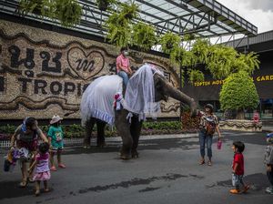 Pakai Paspor Vaksin ke Thailand, Bisa Potong Waktu Karantina Lho