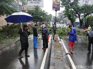Makassar Diguyur Hujan Lebat, 8 Pohon Tumbang-Tutup Ruas Jalan