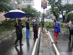 Makassar Diguyur Hujan Lebat, 8 Pohon Tumbang-Tutup Ruas Jalan