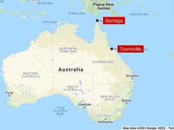 Remaja Tewas Disengat Ubur-ubur Kotak