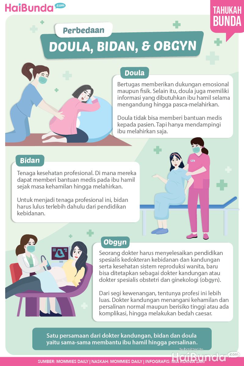 Infografis perbedaan doula, bidan, dan obgyn