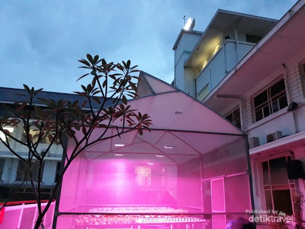 Kebun hidroponik rooftop disinari lampu UV di malam hari