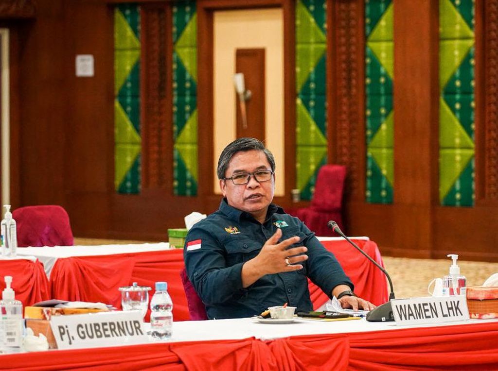 Kunjungi Kalsel, Wamen LHK Pantau Penanganan Pascabanjir Kunjungi Kalsel, Wamen LHK Pantau Penanganan Pascabanjir