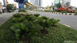 Tanaman Hias Bikin Kolong Flyover Rawa Panjang Jadi Asri