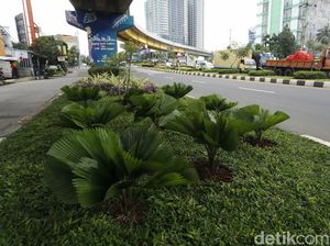 Tanaman Hias Bikin Kolong Flyover Rawa Panjang Jadi Asri