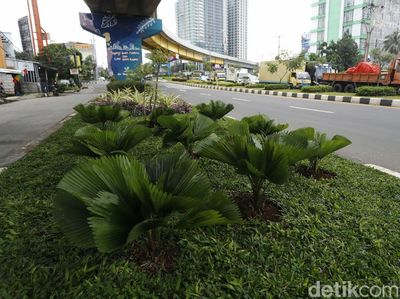 Tanaman Hias Bikin Kolong Flyover Rawa Panjang Jadi Asri