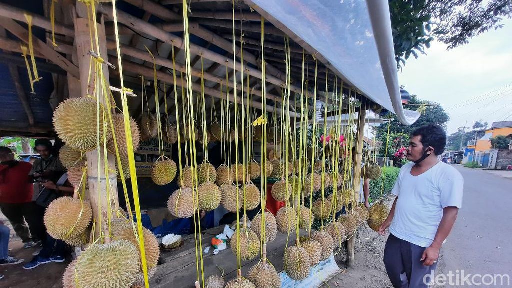 Potret Desa Wisata Rancamaya, Penghasil Durian di Bogor