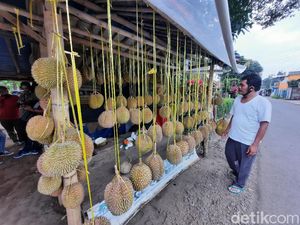 Potret Desa Wisata Rancamaya, Penghasil Durian di Bogor