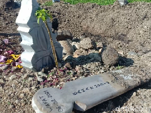Walkot Parepare Minta Polisi Usut Sebab Jenazah COVID Dicuri dari Makam Walkot Parepare Minta Polisi Usut Sebab Jenazah COVID Dicuri dari Makam