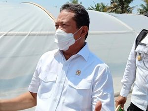 Trenggono Mau Bangun Tambak Udang Raksasa Rp 250 Miliar