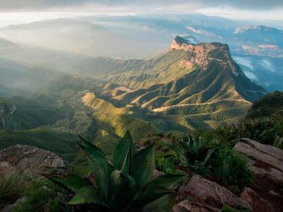 Alam Liar Ini Diselamatkan Pria Kota yang Rindu Pegunungan Terpencil