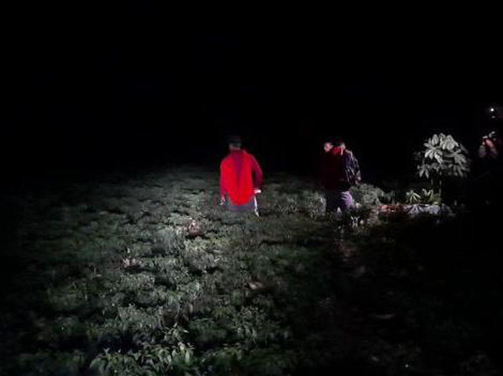 Cabai Mahal, Petani Tuban Jaga Kebun Saat Malam Cegah Aksi Pencurian Cabai Mahal, Petani Tuban Jaga Kebun Saat Malam Cegah Aksi Pencurian