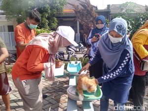 Ada Posyandu Kucing di Lamongan yang Akan Rutin Digelar
