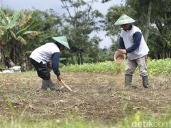 BMKG Bekali Petani Kentang di Bandung Pengetahuan Cuaca & Iklim