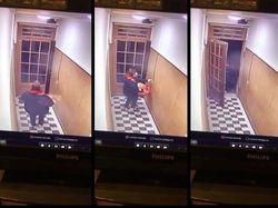 Restorannya Banyak Tikus, Driver Ini Curi Kucing Pembeli Saat Antar Makanan