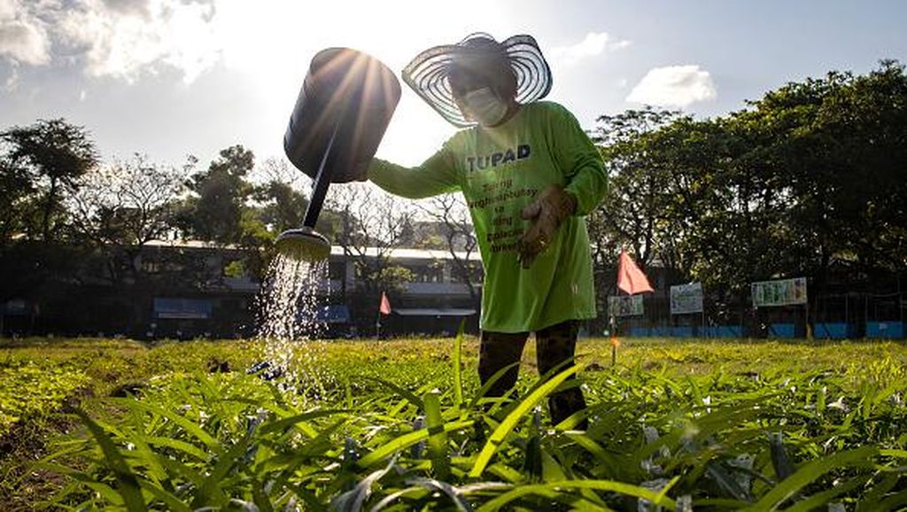 Warga Filipina Ubah Lapangan Bola Jadi Lahan Pertanian