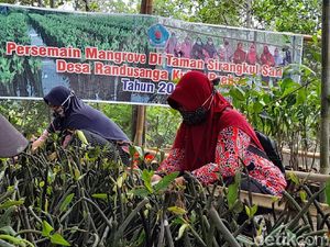 Melihat Desa di Brebes yang Digadang Jadi Mangrove Center Nasional