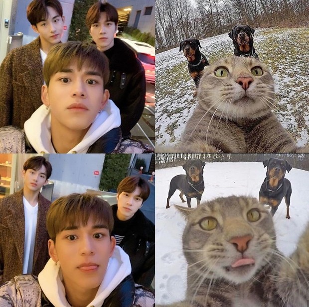 Meme Kucing x WayV/twitter.comSolastaJaem_ Meme Kucing x WayV