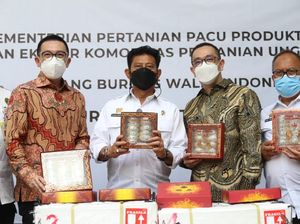 Jatim Ekspor 494 Kg Sarang Burung Walet Senilai Rp 9,9 M ke China