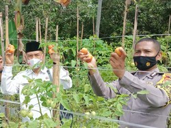 Penuhi Pangan Warga, Desa di NTB Hidupkan 50 Hektare Lahan Tidur