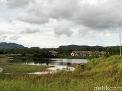 Belasan Orang Bugil di Rawa Pandeglang,  4 Hal yang Dilarang Dilakukan Umat Hindu saat Nyepi