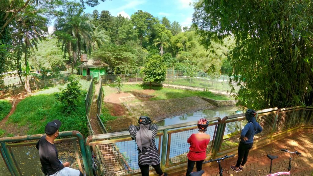 Potret Asyiknya Warga Gowes Sambil Lihat Satwa Saat Ragunan Buka Lagi Potret Asyiknya Warga Gowes Sambil Lihat Satwa Saat Ragunan Buka Lagi