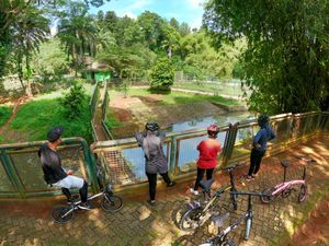 Potret Asyiknya Warga Gowes Sambil Lihat Satwa Saat Ragunan Buka Lagi
