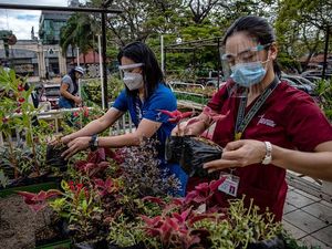 Aksi Seniman-Nakes di Filipina Sulap Ranjang RS Jadi Taman Bunga