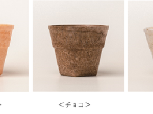 Inovatif! Jepang Hadirkan Cangkir yang Bisa Dimakan untuk Kurangi Sampah Plastik