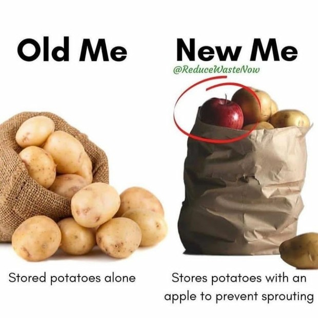 Cara Ini Bisa Mencegahmu Membuang Bahan Pangan Secara Percuma/instagram.com/health_challenge