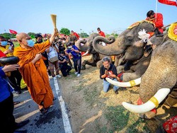 Hari Gajah Nasional di Thailand, Biksunya Babtis Gajah