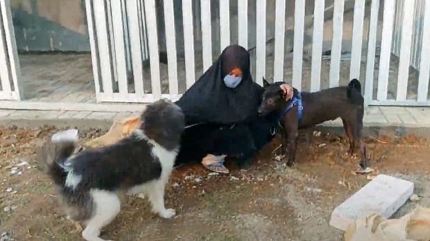 Hesti Sutrisno, Wanita Bercadar Pemilik 70 Anjing Liar
