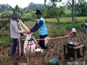 Unik,Pedagang Kopi di Ponorogo Hanya Mau Dibayar Pakai Gabah