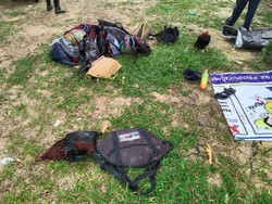 Polisi Gerebek Judi di Area Perkebunan Sawit Kaltim, Bandar Ditangkap