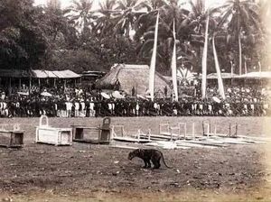 Tradisi Ramai-ramai Menombak Harimau yang Tersohor di Blitar Abad 19 Tradisi Ramai-ramai Menombak Harimau yang Tersohor di Blitar Abad 19