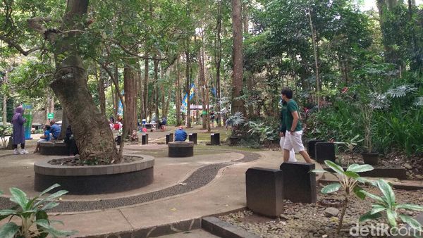 Tahura Djuanda yang Hijau dan Segar