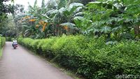 Inikah Lokasi Lahan Sarana Jaya yang Tersandung Korupsi DP 0 Persen?