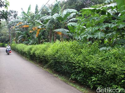Inikah Lokasi Lahan Sarana Jaya yang Tersandung Korupsi DP 0 Persen?
