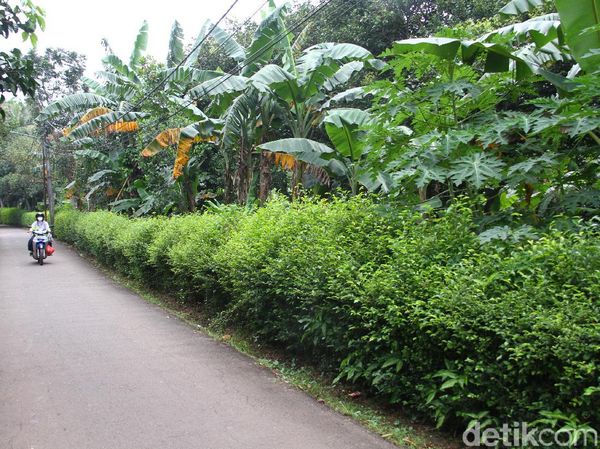 Inikah Lokasi Lahan Sarana Jaya yang Tersandung Korupsi DP 0 Persen?