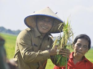 Pemkab OKI Sumbang Pertumbuhan Ekonomi Tertinggi di Sumsel