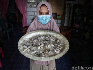 Kreatif, Limbah Kerang Disulap Jadi Kerajinan Cantik