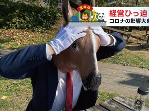 Cara Kebun Binatang Hokkaido Bertahan di Pandemi Corona Cara Kebun Binatang Hokkaido Bertahan di Pandemi Corona