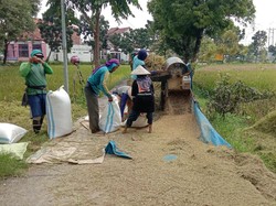 Kementan: Petani Harus Kita Jaga Kegembiraannya di Masa Panen