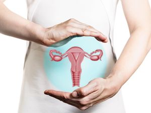 Mengenal Hormon Menstruasi yang Mempengaruhi Folikel dan Dinding Rahim Mengenal Hormon Menstruasi yang Mempengaruhi Folikel dan Dinding Rahim