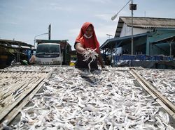Olahan Ikan Kering Jadi Ladang Bisnis Perempuan Pesisir Demak
