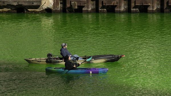 Tradisi Unik Mengubah Sungai Jadi Hijau di Chicago