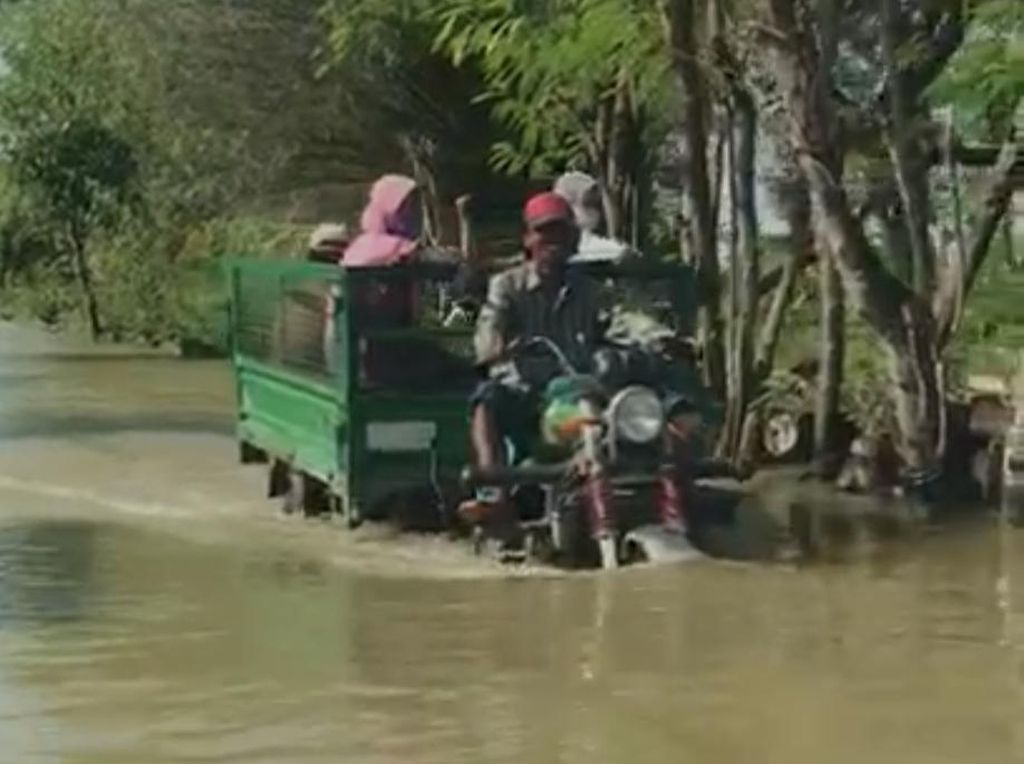 Dua Bulan Terendam Banjir, Warga 49 Desa di 6 Kecamatan Lamongan Hanya Pasrah Dua Bulan Terendam Banjir, Warga 49 Desa di 6 Kecamatan Lamongan Hanya Pasrah