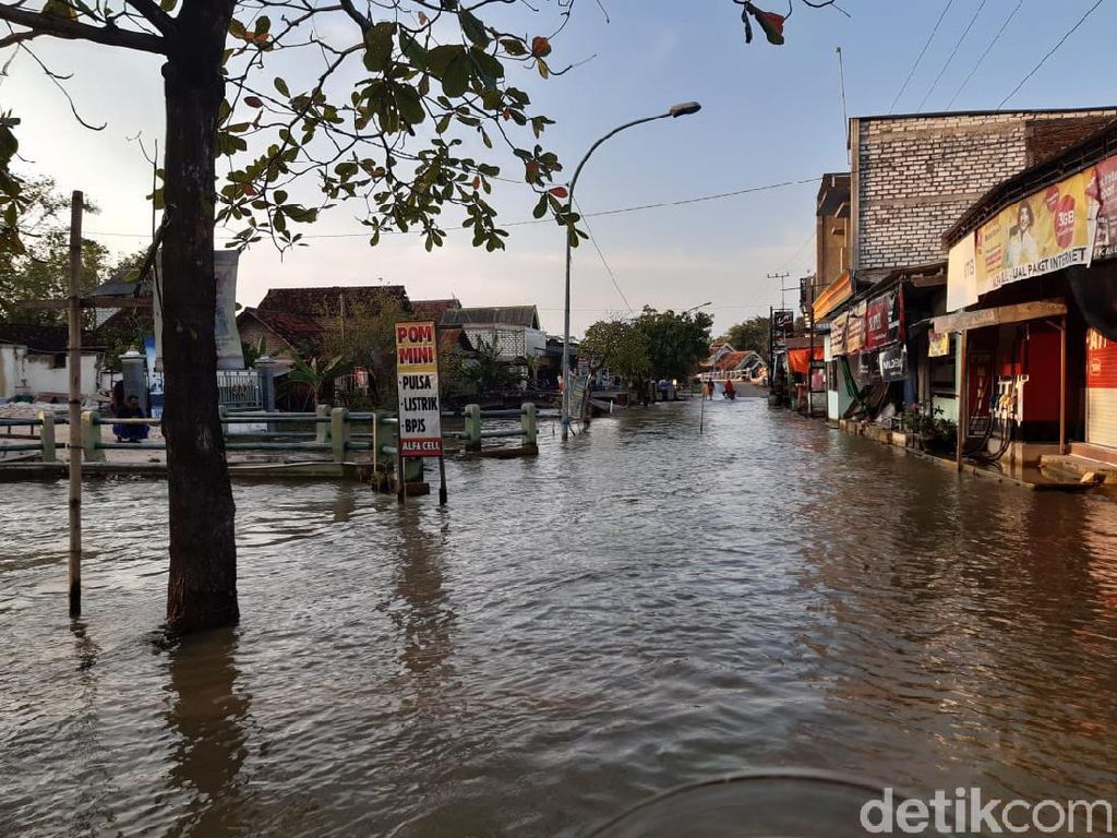 Duka Warga Terdampak Banjir 2 Bulan di Lamongan, Jalan Licin Hingga Kutu Air Duka Warga Terdampak Banjir 2 Bulan di Lamongan, Jalan Licin Hingga Kutu Air