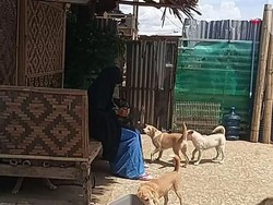 Intip Shelter Anjing Milik Wanita Bercadar yang Sempat Digeruduk Warga