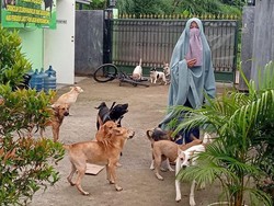 Mediasi dengan Warga, Hesti Wanita Bercadar Bersedia Relokasi 47 Anjing